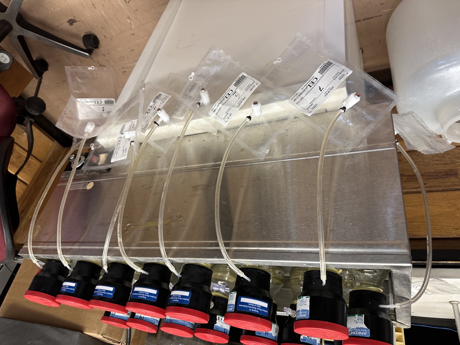 ANKOM gas-production system with gas-collection bags