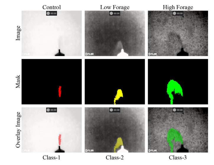 Optical-gas-imaging frames with deep-learning segmentation masks highlighting methane plumes under different forage diets